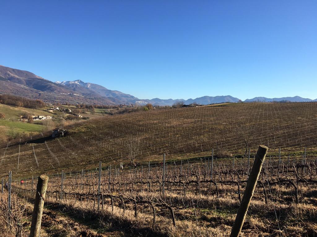 Agriturismo Di Charme Erbadoro Alvito Exteriör bild