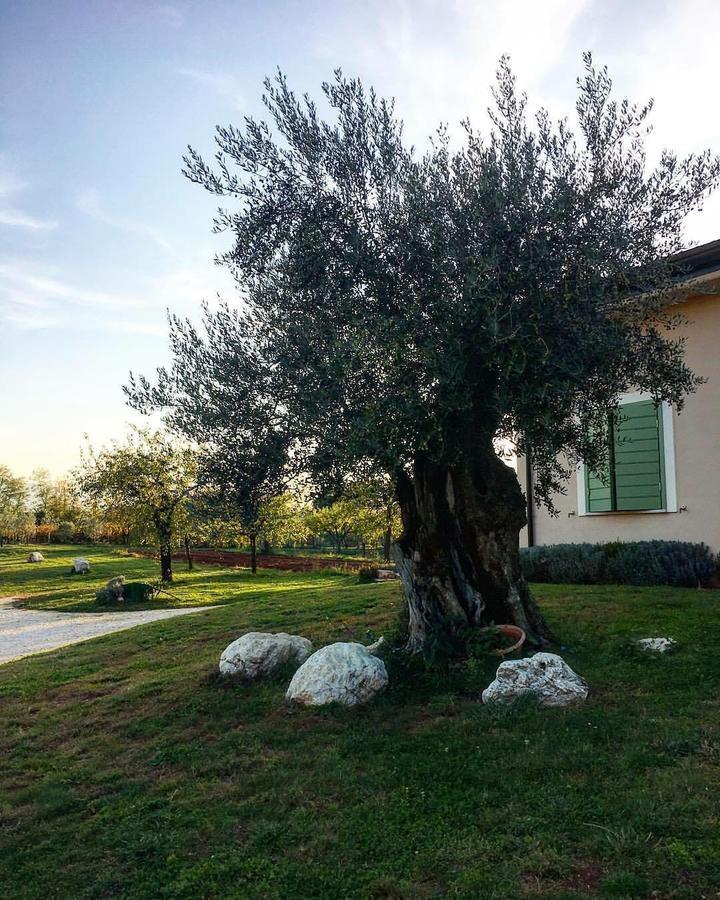 Agriturismo Di Charme Erbadoro Alvito Exteriör bild