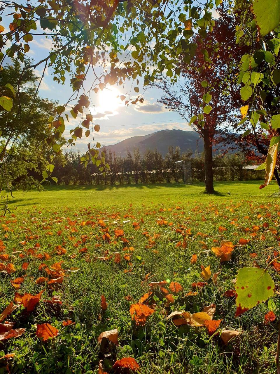 Agriturismo Di Charme Erbadoro Alvito Exteriör bild